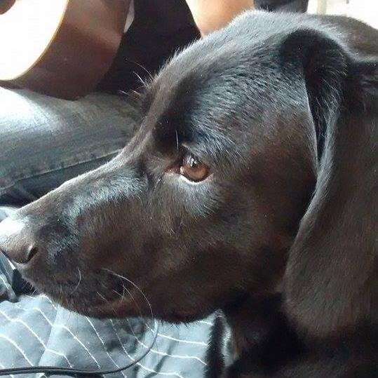 nayadelaigue's profile picture. 