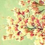 KimHalliwell's profile picture. 