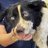 crueltyireland's profile image