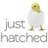 Just Hatched