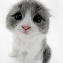 Xiaotong Liu - @tiantongtong - Twitter