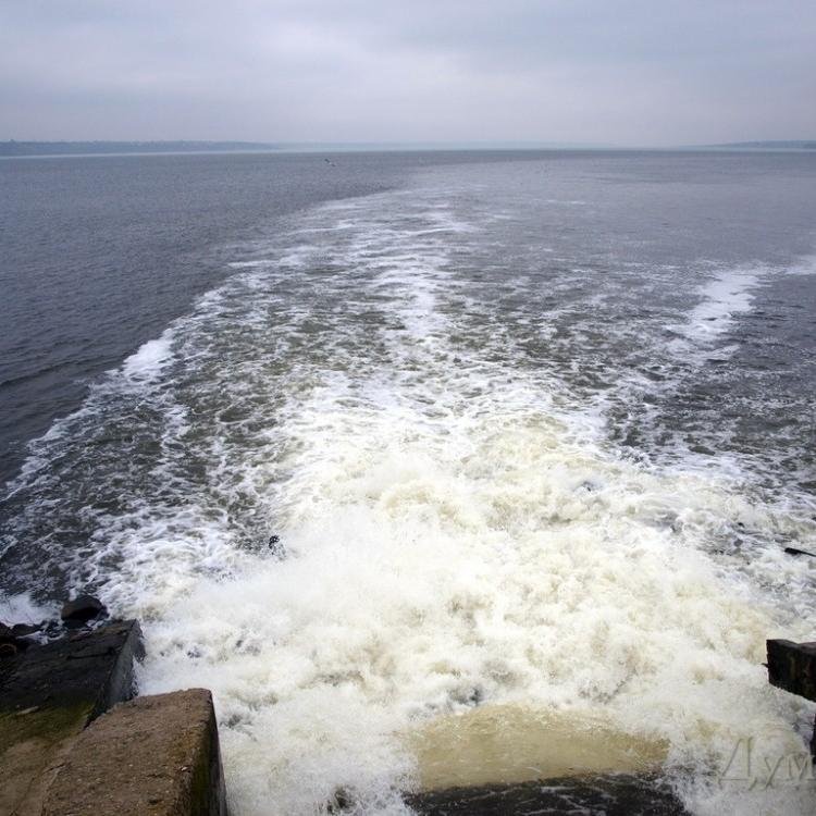 steel_fikalii's profile picture. 