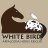 White Bird Appaloosa