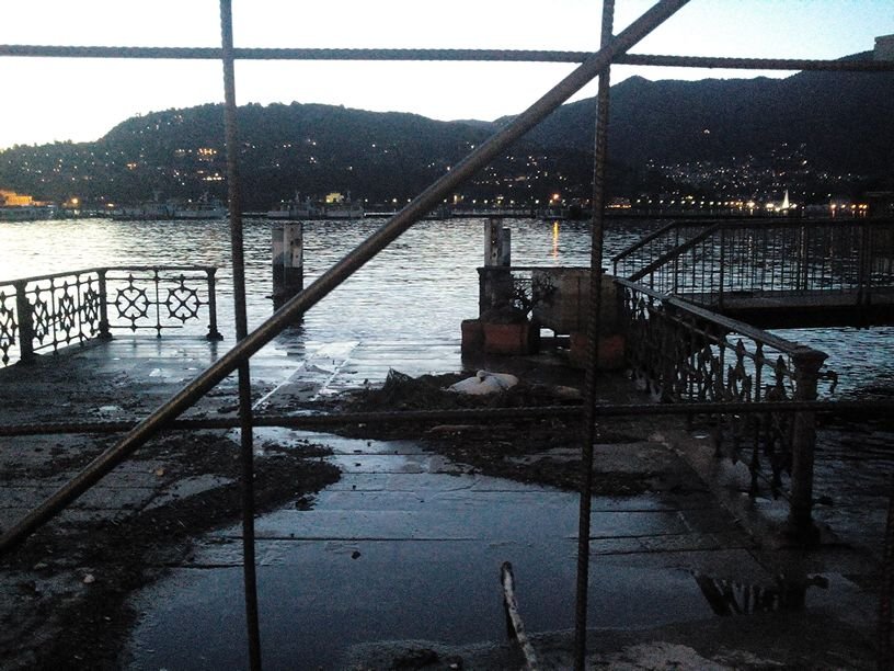 AislingPlazer's profile picture. Prolissaria neologista in rehab- flessioni e sorrisi in centrini smagliati.      Io e @gunzapper due cuori e un piumone di libri. Italoirish.