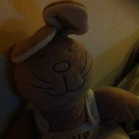 västeråskaninen (@elseoksanen) 's Twitter Profile