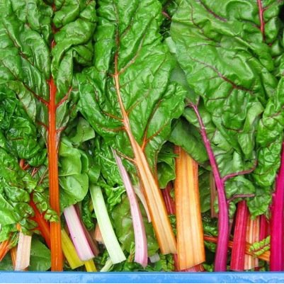 JWPostmus's profile picture. Smeding AGF, Sligro, Zuid Holland, Horeca, Culinair. Groenten Leeft dus volg de seizoenen!