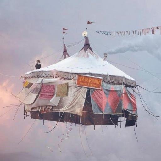 CircusStream's profile picture. CircusTheatreSchool is community project informing about Circus, Theater and it's education.