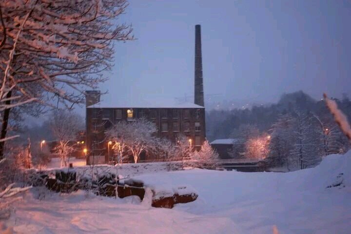 Woodend Studiosさんのプロフィール画像