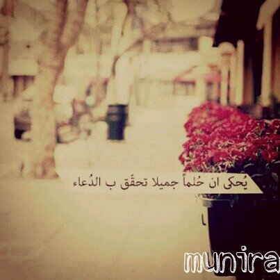  ﻭَﻣَﺎ ﺗَﻮْﻓِﻴﻘِﻲ ﺇِﻟَّﺎ ﺑِﺎﻟﻠَّﻪِ ﻋَﻠَﻴْﻪِ ﺗَﻮَﻛَّﻠْﺖُ ﻭَﺇِﻟَﻴْﻪِ ﺃُﻧِﻴﺐُ