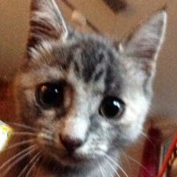 @Jarod (@tackpacklp) 's Twitter Profile