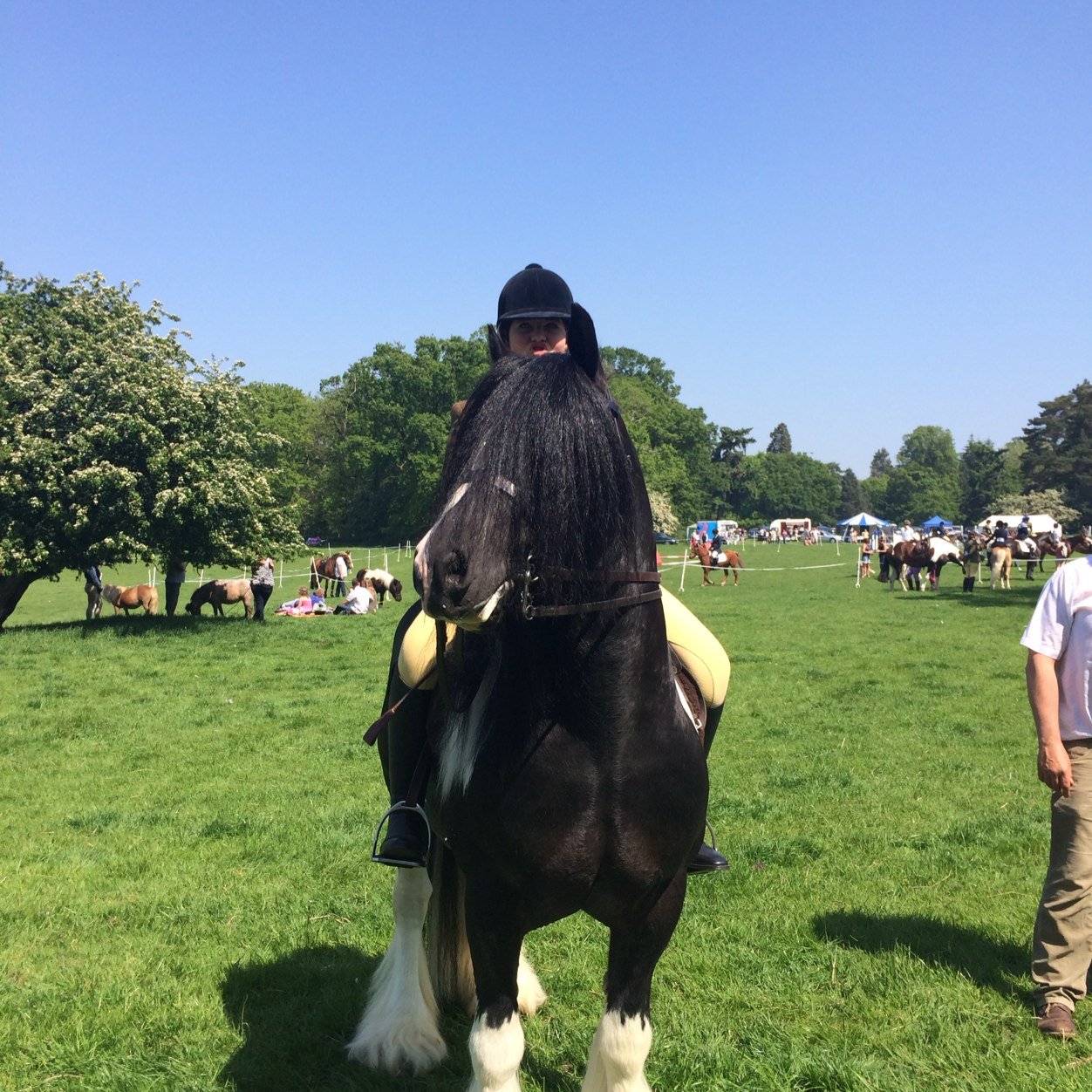 JoanneClaxton's profile picture. 