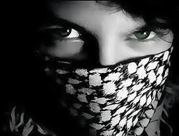 wariros's profile picture. 