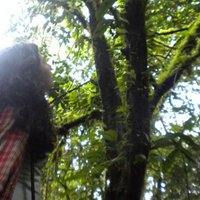 Mirna Ines Fernández (@mirnaire) 's Twitter Profile