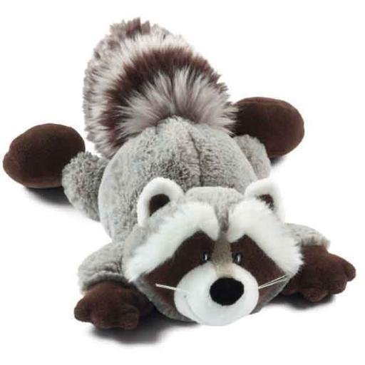 retired worn out raccoon