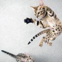 Adil Arif Aydın - @AdilArifAydin - Twitter