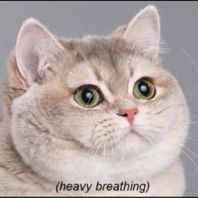 HockeyStarYT's profile picture. 