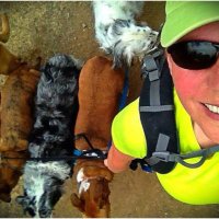 The Dog Hikers (@thedoghikers) 's Twitter Profile