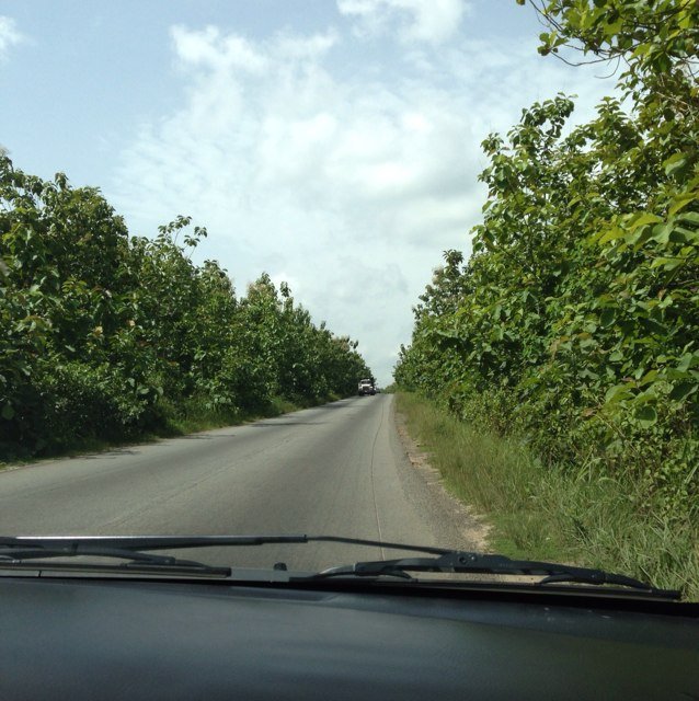 aalamirza's profile picture. 