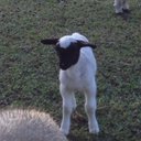 Debbie Glover - @debglov3 - Twitter