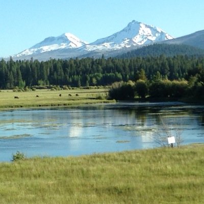 j4stocks's profile picture. 