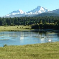 John Williamson (@j4stocks) 's Twitter Profile