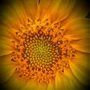 Diane Hetrick - @HetrickDiane - Twitter