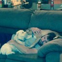 Matthew Broadhead - @mrbroadhead1 - Twitter