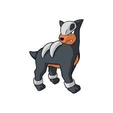 The_Dark_Dog's profile picture. If you hear a spine-chilling howl just at sunrise, you might have wandered into Houndour's territory.