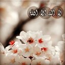 لبيك ياربي'' (@11no11no11no11) Twitter