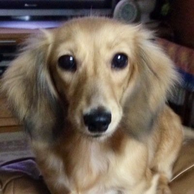 coralpinkmt's profile picture. 