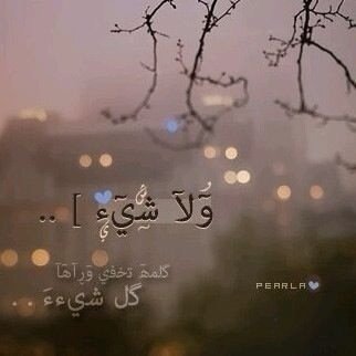رسمتك حلم في دأخلي :)