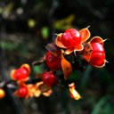 이두환 - @fun005lee - Twitter