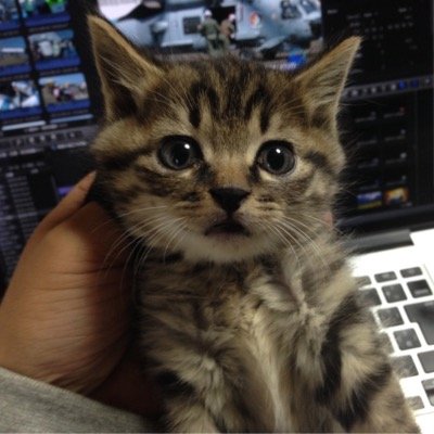 https://t.co/elD51hpYqd…
https://t.co/ULgRm1shwX
YouTuber、Kindle小説家、脚本家。日本児童文芸家協会会員。和文化実践人主催。端唄（お三味線）