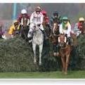 We Advise Lay Bet Info On English Horse Racing.We Bet On What We Advise.