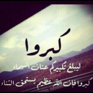 ‏أرى غيرُكِ كثيراً و لكِن قلبيِ أهلكنِي بكِ ...♡'