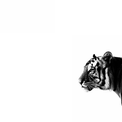 - A&R 
- UMG 
- Publicist