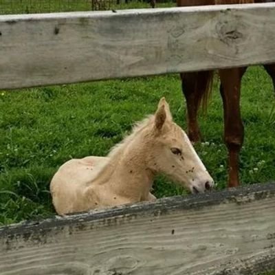 MincyAnna's profile picture. bored