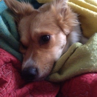 Biochemist. Dog Lover! Beekeeper, Entrepreneur. Specialized in R&D, Tech Transfer, Quality Control and Intellectual Property.