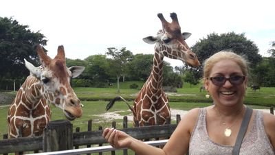 Norygil's profile picture. 