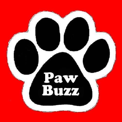 PawBuzz's profile picture. News - Buzz - Life