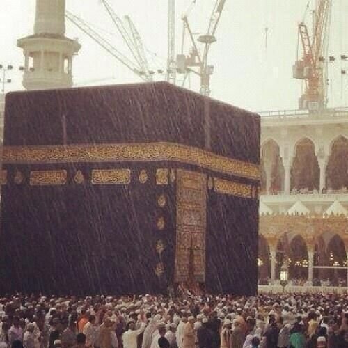 اللهـم من يتابع هذا الحساب يسّر له أمره و فرّج همه وارزقه من حظوظ الدنيا من حيث ﻻ يحتسب واجعل الجنة دار خلد له ولمن أحب ♥