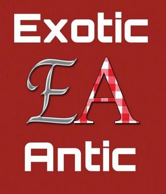 sponsored by @cinchgaming use code exoticantic to get 5% off all cinch gaming products