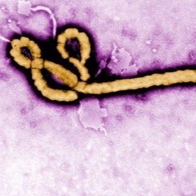 ORIGINAL *EBOLA* ACC