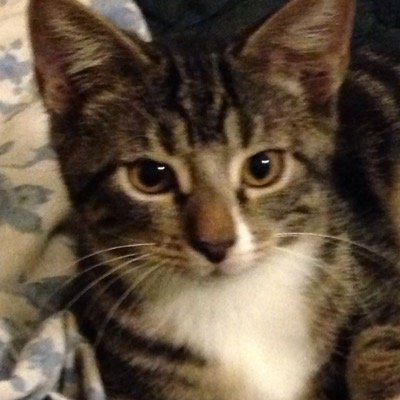 pjk263's profile picture. 