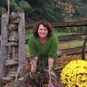 Janet Westcott - @JanetWestcott1 - Twitter