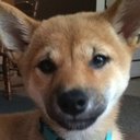 Luna Barrett - @LunaBarrettAll - Twitter