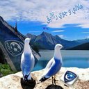 ابوغلا الشهري (@055448alasm3ei1) Twitter