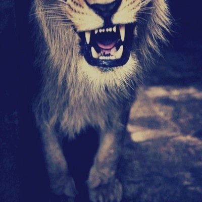 AbsideC's profile picture. 