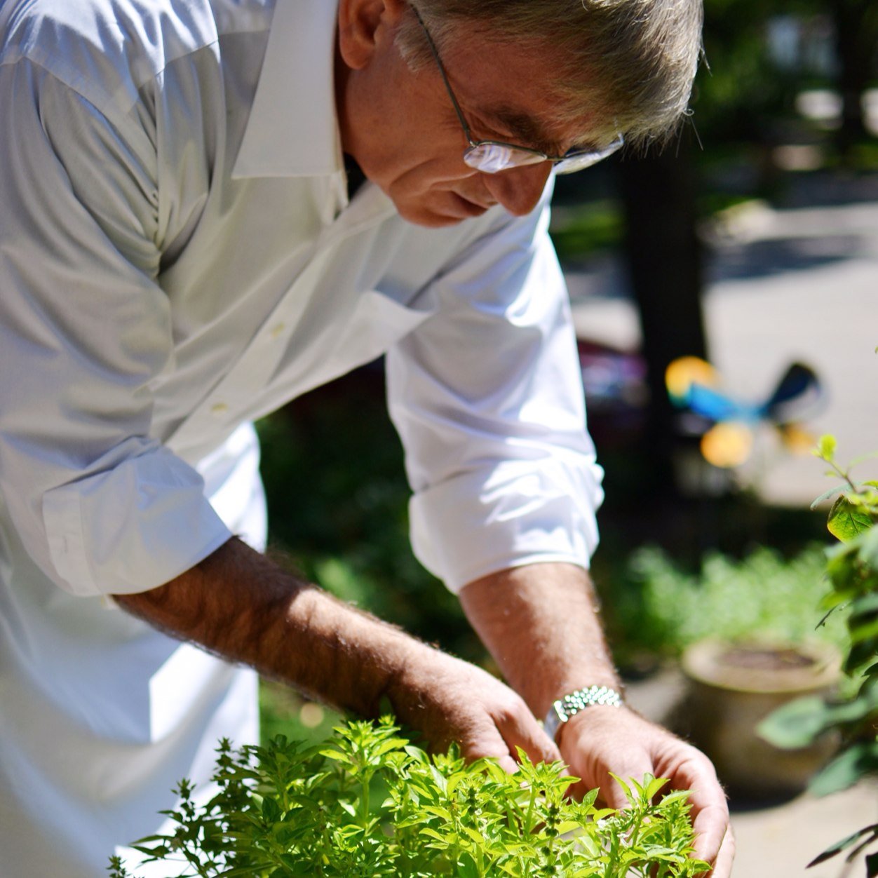 garganoandco's profile picture. Italian sauces + meal starters made by hand by Chef Peppino Gargano + family. We've been cooking with love for 40+ years...from our family table to yours!