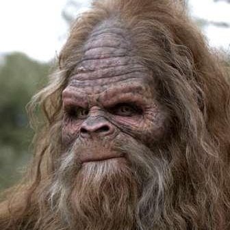 I MUST FIND SQUATCH HELP ME FIND SQUATCH #FINDSQUATCH2014